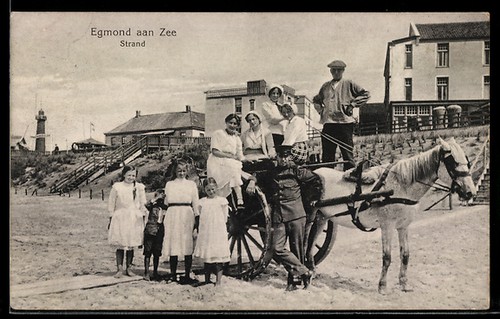 Egmond aan zee pferdegespann - zee,,
