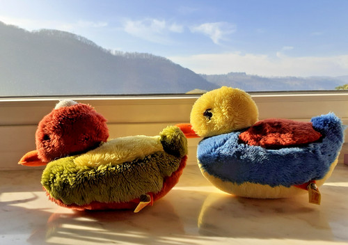 Steiff enten 5380 gelb - steiff-enten,