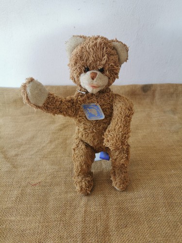 Schildkröt teddybär - schildkröt,
