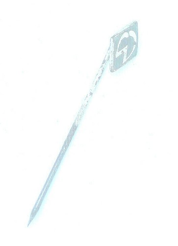 Werder bremen nadel - sv,