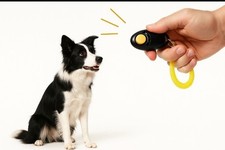 Klicker Hund  Clickertraining Ausbildung  Erziehung Hund Katze Training Armband