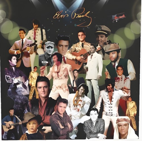 Elvis faltdisplay messewand - faltdisplay,
