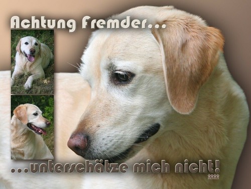 Labrador hundewarnschild - labrador,