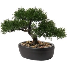 Kunstbonsai Bonsai Zeder