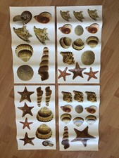 RoomMates Wandsticker Muscheln Seesterne  Deko Wandtattoo Fliesen guter Zustand!