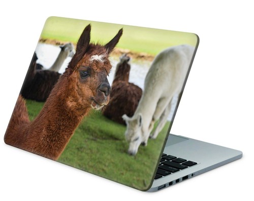 Universal laptop skin notebook - universal,