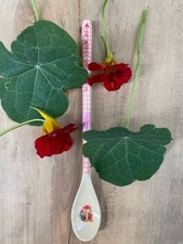 Rice  Latte Löffel  aus