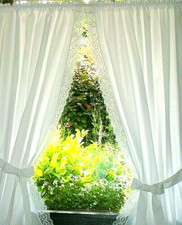 Landhaus Gardinenset  2 Schals/Kurzgardine Baumwolle weiß breite Klöppelspitze