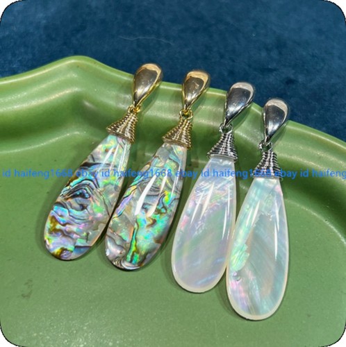 Abalone shell retro - abalone,