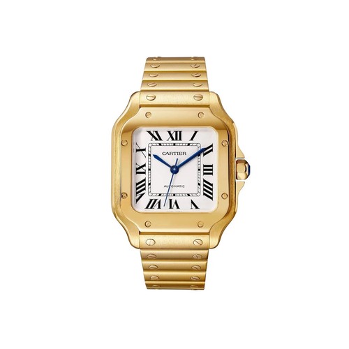 Cartier santos - cartier,