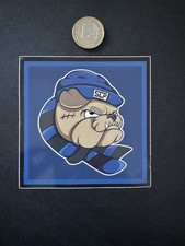 Ultras SC Paderborn Supporters