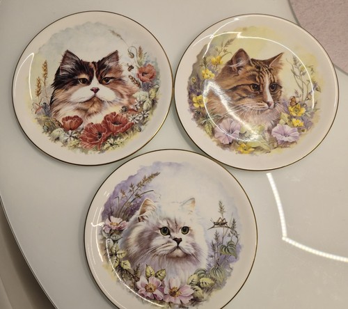 Sammelteller von duchess - 3,