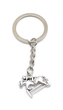 Springreiter Pferd Hindernis