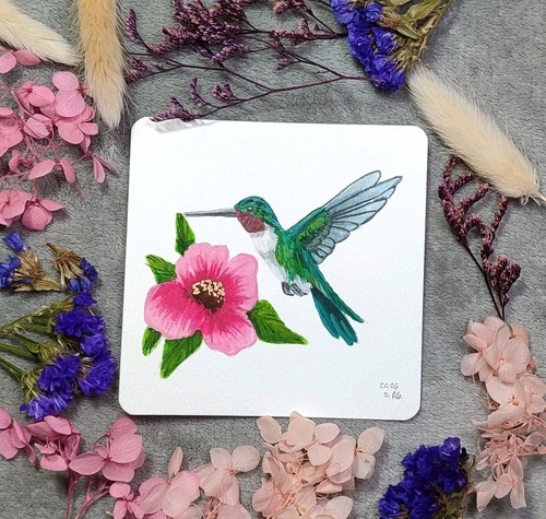 Kolibri aquarellgemälde - kolibri,