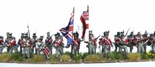 Waterloo British Infantry -