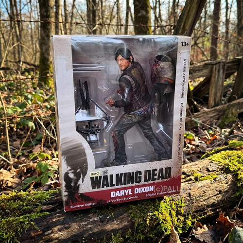 The walking dead daryl dixon - the,