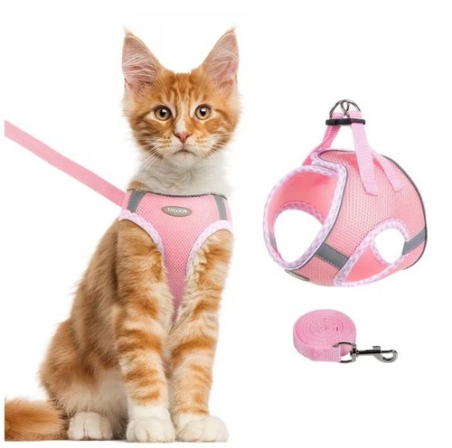 Katzengeschirr mit leine - mit,