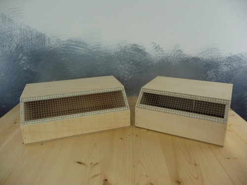 Vogel transportbox - vogel,