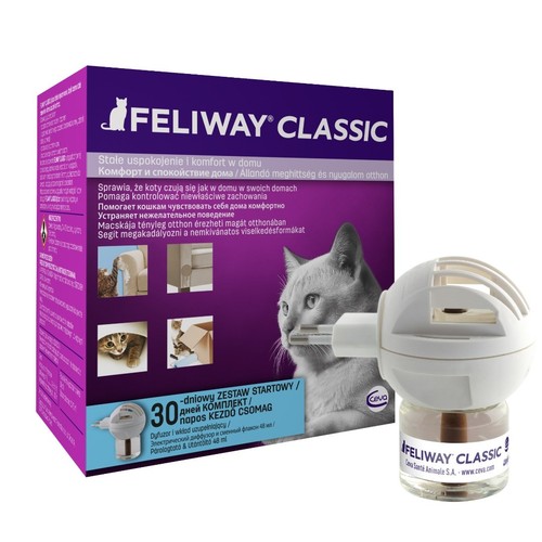 Feliway beruhigender - feliway,