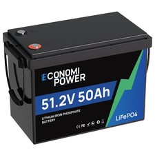 LiFePO4 48V 50Ah Lithium Batterie 50A BMS für Solarenergie Wohnmobile Off-Grid