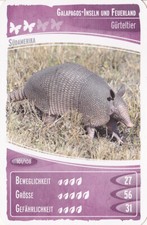 Netto     Ozeanien 2        "