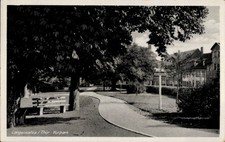 Ak Bad Langensalza in Thüringen, Kurpark, Spazierweg, Bäume,... - 4728967