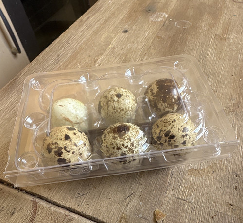 Wachteleier stück in - wachteleier,