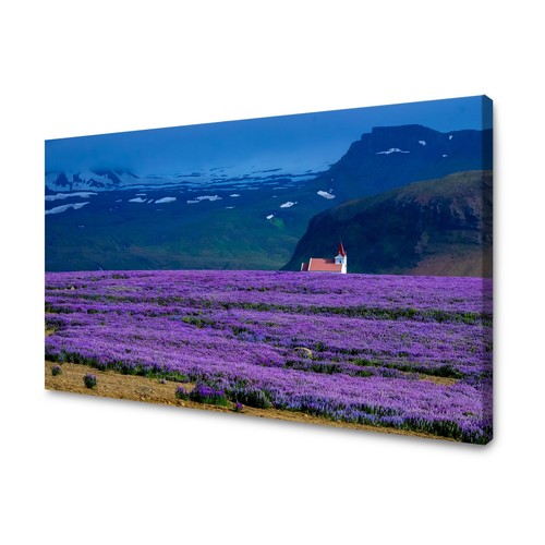 Leinwandbild natur - leinwandbild,