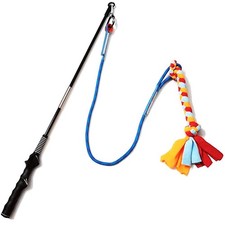 Hund Hunde Ausbildung