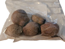 5x Eukalyptus Kapsel Shelter 2-3,5cm Nano Deko Unterschlupf Garnelen Aquarium