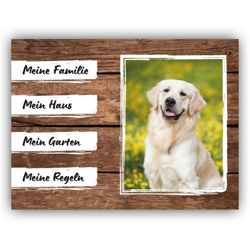 Golden retriever schild - golden,