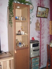 IKEA Billy Oxberg Paneel Vitrinentür braun 40x192cm ,