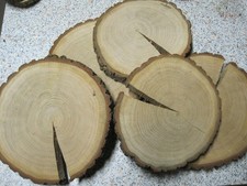5 x Holzscheiben  Astscheiben