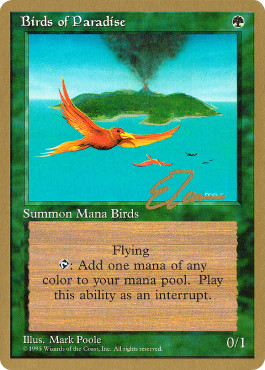 Magic mtg birds - magic, paradise