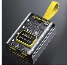 Powerbank 20W 8000mAh 18650