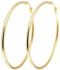 Titanium Titan Ohrhänger