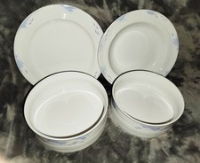 FRIESLAND JEVERLAND VOGELFLUG