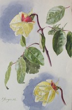 Fritz Berger Blumenstudie