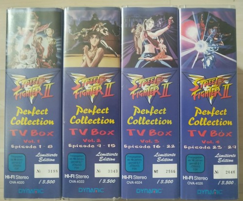Street fighter perfect - fighter,
