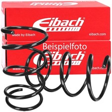 2x EIBACH R13607