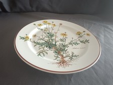 Villeroy & Boch Botanica Anthemis tinctoria Speiseteller Essteller d-26,5 cm