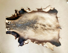 Dachsfell als ganzes Stück /  Normalgröße