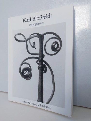 Karl blossfeldt photographien - blossfeldt,