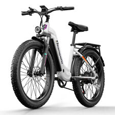 26 Zoll Ebike 1000W E