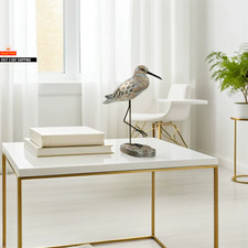 2 Stück Vintage Küstenmöwe