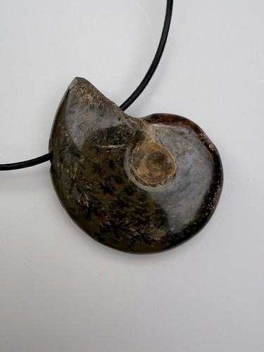 Ammonit anhänger fossil - ammonit,