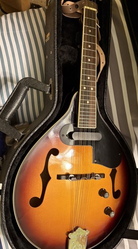 Fender string mandolin - fender, 8-string