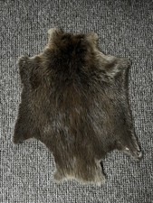 Wilde natürliche Biberfell |