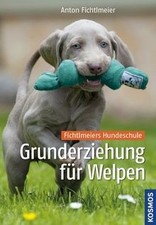 Grunderziehung für welpen - grunderziehung,