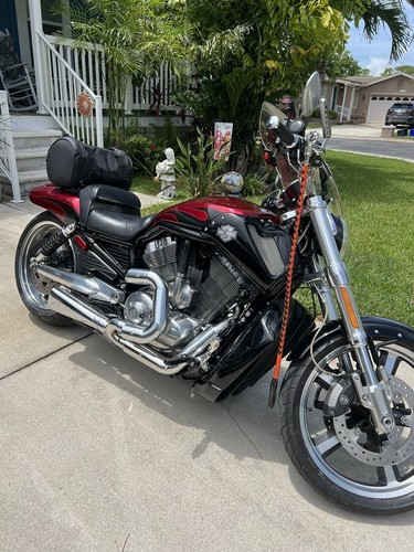 Harley davidson rod - v-rod, vrsca